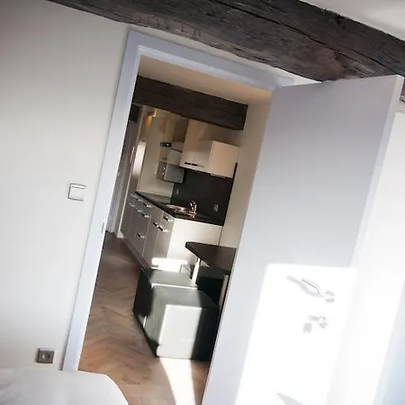Apartment De Maasnacht Maaseik Buitenkant foto