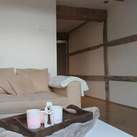Apartment De Maasnacht Maaseik Buitenkant foto